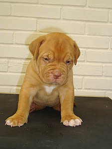 Female 3 - 28 days
